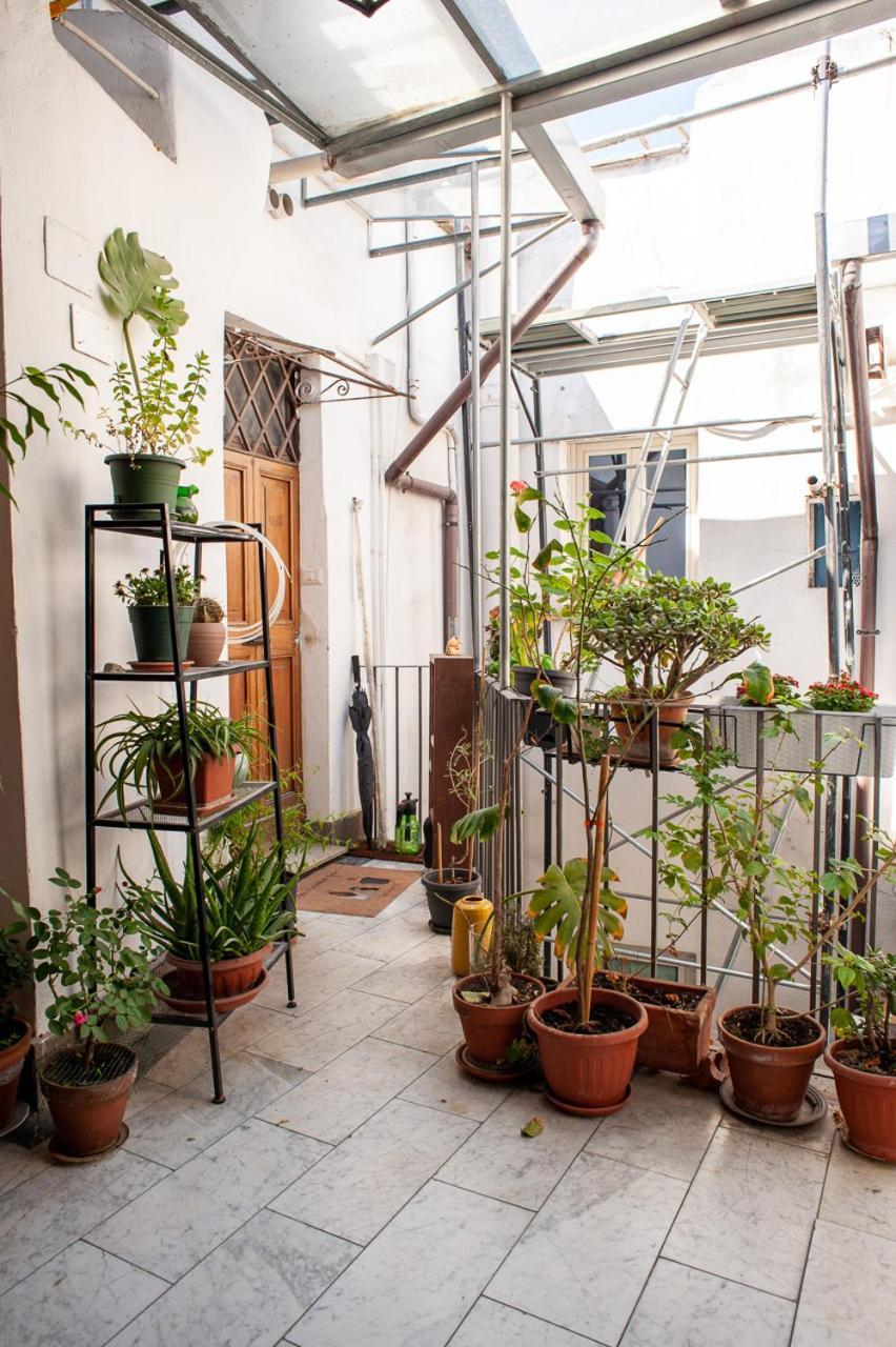 Casa Luce 66